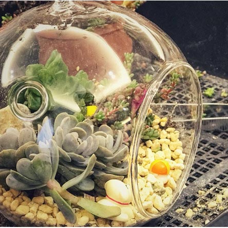 愛博恩孕產(chǎn)宣教中心
